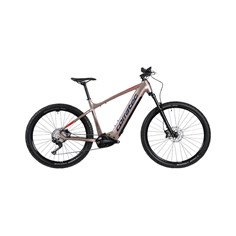 Corratec E-Power X VERT PRO GENT